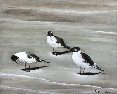 Laughing Gulls<br />
Oil on Canvas<br />
Dimensions: 10″ wide 10″ high